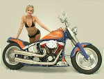 Harley Davidson Softail